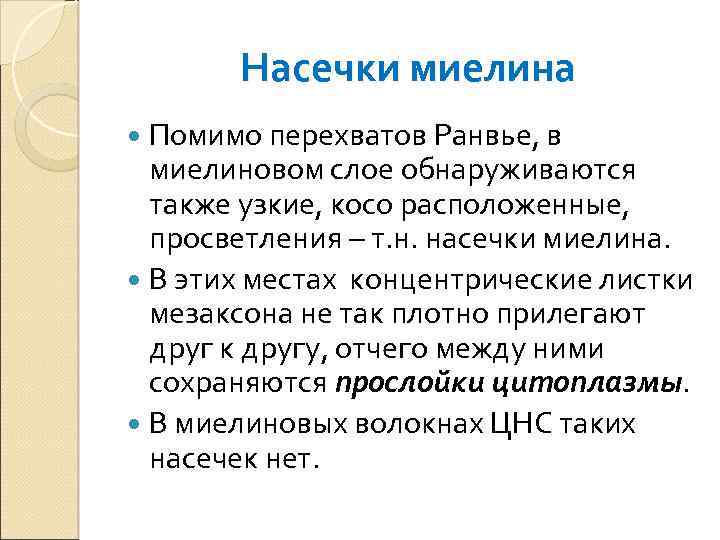 Насечки миелина Помимо перехватов Ранвье, в миелиновом слое обнаруживаются также узкие, косо расположенные, просветления