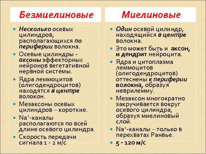 Безмиелиновые Несколько осевых цилиндров, располагающихся по периферии волокна. Осевые цилиндры - аксоны эффекторных нейронов