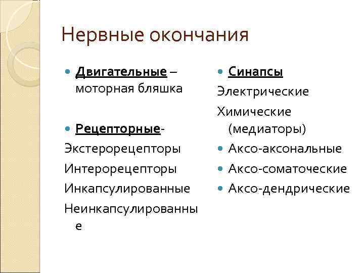 Нервные окончания Двигательные – моторная бляшка Рецепторные. Экстерорецепторы Инкапсулированные Неинкапсулированны е Синапсы Электрические Химические