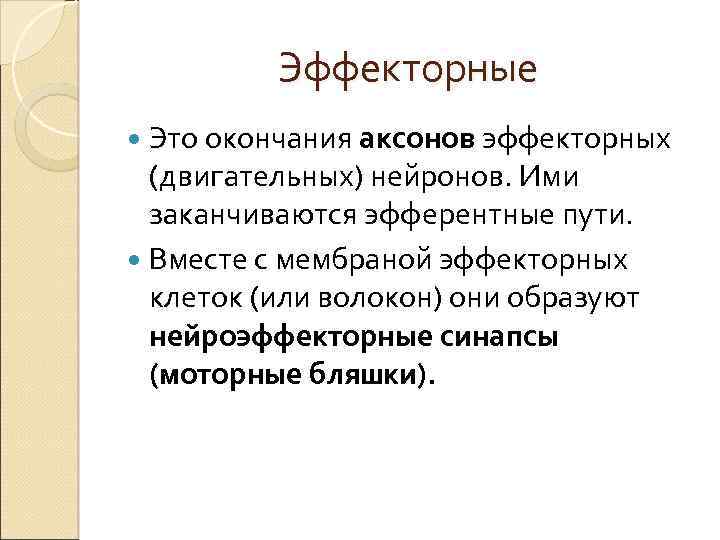 Эффекторные Это окончания аксонов эффекторных (двигательных) нейронов. Ими заканчиваются эфферентные пути. Вместе с мембраной