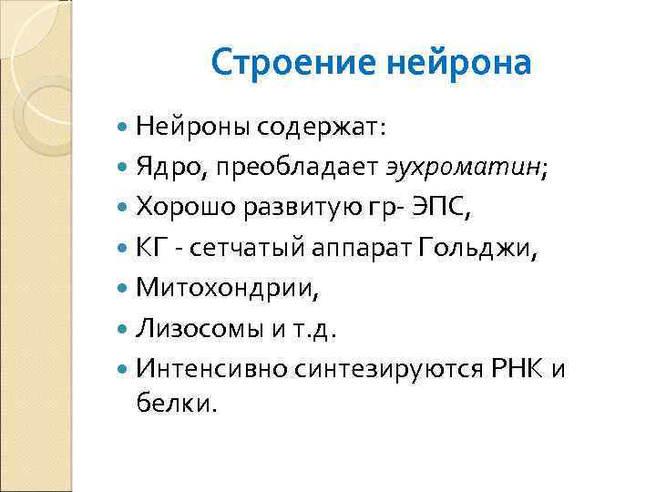 Строение нейрона Нейроны содержат: Ядро, преобладает эухроматин; Хорошо развитую гр- ЭПС, КГ - сетчатый