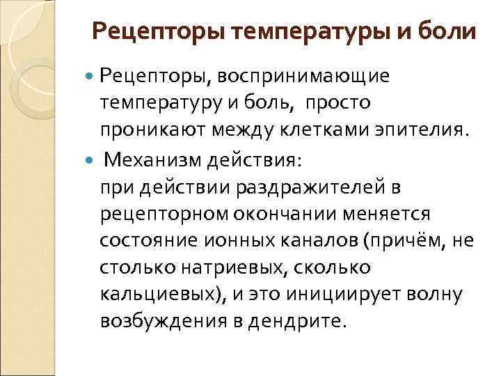 Рецепторы температуры и боли Рецепторы, воспринимающие температуру и боль, просто проникают между клетками эпителия.