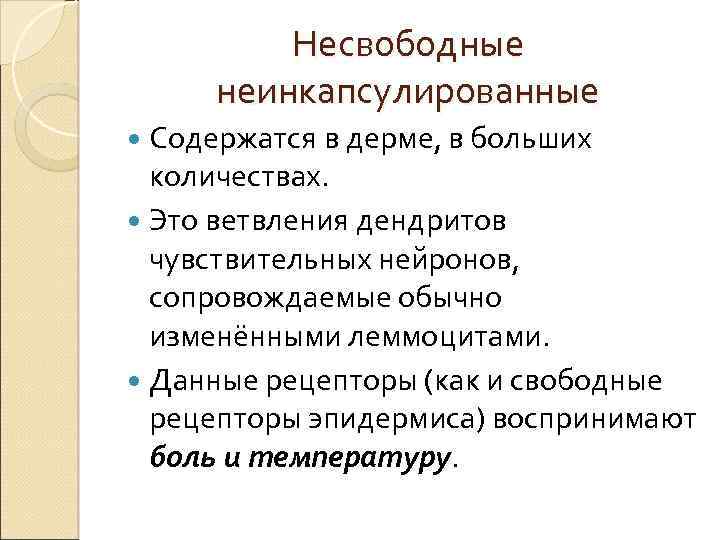 Несвободные неинкапсулированные Содержатся в дерме, в больших количествах. Это ветвления дендритов чувствительных нейронов, сопровождаемые