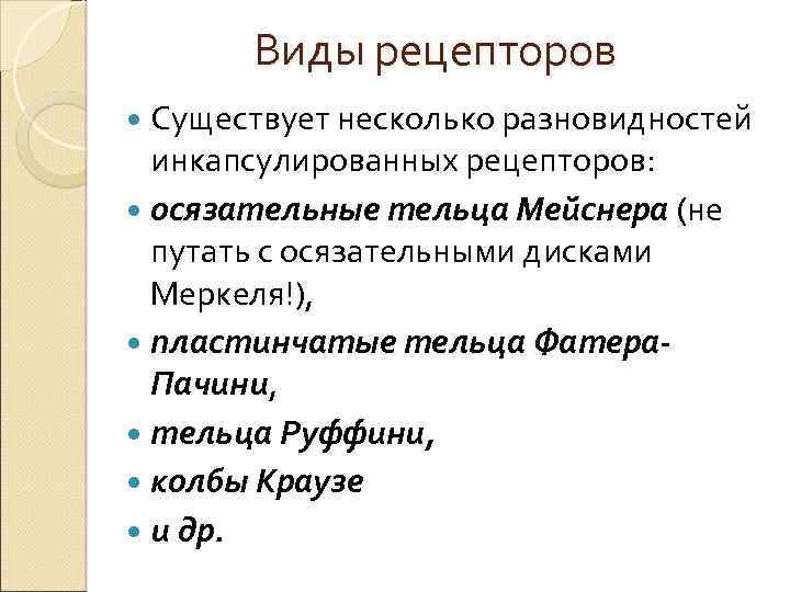 Виды рецепторов Существует несколько разновидностей инкапсулированных рецепторов: осязательные тельца Мейснера (не путать с осязательными