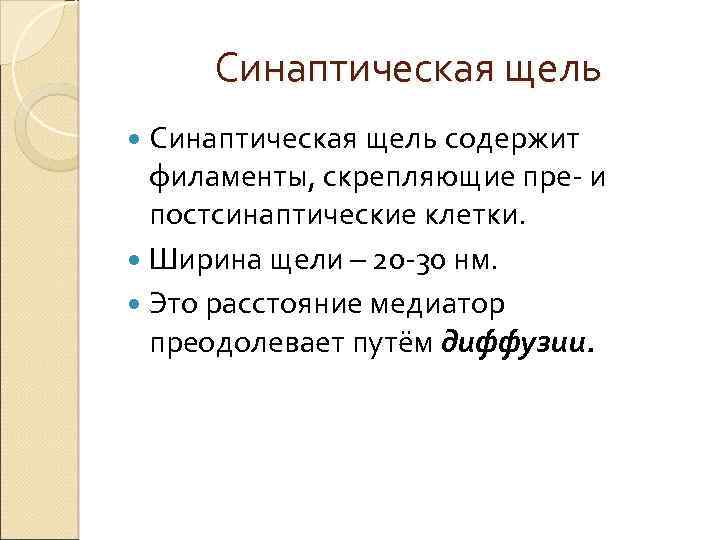 Синаптическая щель содержит филаменты, скрепляющие пре- и постсинаптические клетки. Ширина щели – 20 -30