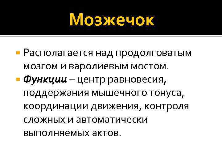 Мозжечок Располагается над продолговатым мозгом и варолиевым мостом. Функции – центр равновесия, поддержания мышечного
