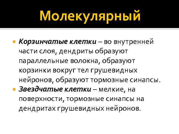 Молекулярный Корзинчатые клетки – во внутренней части слоя, дендриты образуют параллельные волокна, образуют корзинки