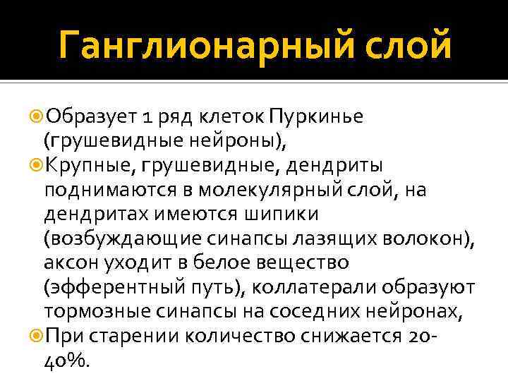 Ганглионарный слой Образует 1 ряд клеток Пуркинье (грушевидные нейроны), Крупные, грушевидные, дендриты поднимаются в