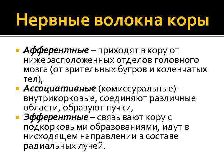 Нервные волокна коры Афферентные – приходят в кору от нижерасположенных отделов головного мозга (от