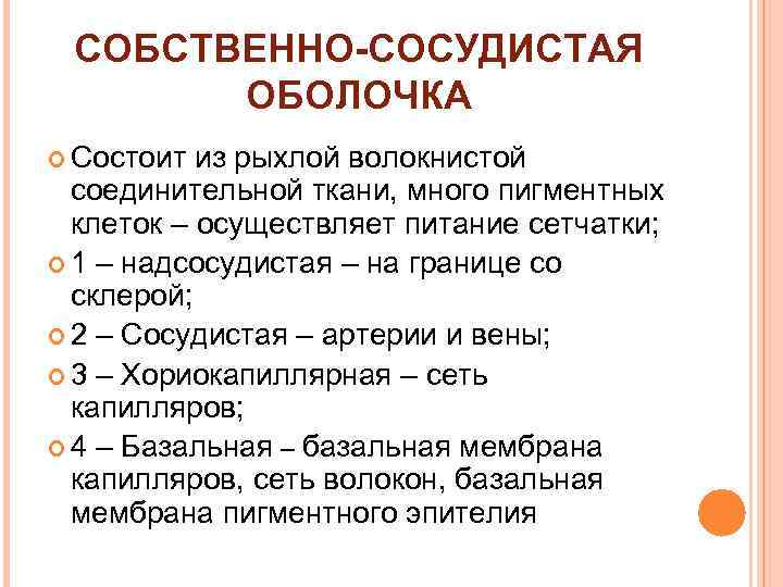 СОБСТВЕННО-СОСУДИСТАЯ ОБОЛОЧКА Состоит из рыхлой волокнистой соединительной ткани, много пигментных клеток – осуществляет питание