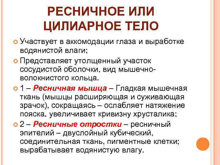 РЕСНИЧНОЕ ИЛИ ЦИЛИАРНОЕ ТЕЛО Участвует в аккомодации глаза и выработке водянистой влаги; Представляет утолщенный