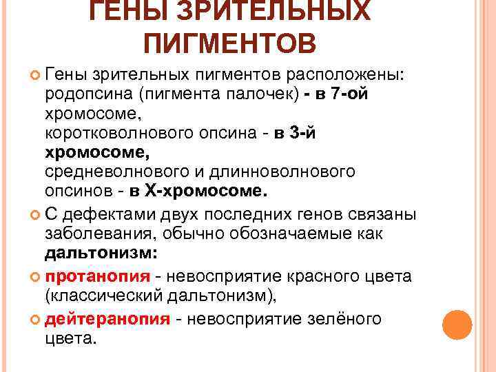 ГЕНЫ ЗРИТЕЛЬНЫХ ПИГМЕНТОВ Гены зрительных пигментов расположены: родопсина (пигмента палочек) - в 7 -ой