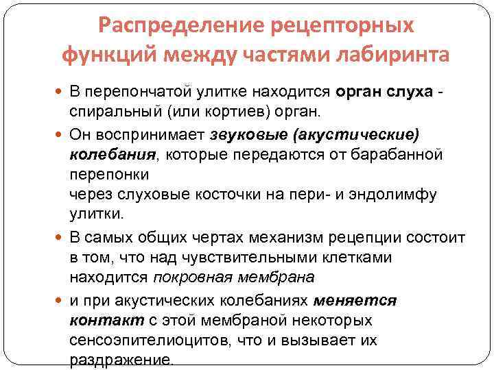 Распределение рецепторных функций между частями лабиринта В перепончатой улитке находится орган слуха - спиральный