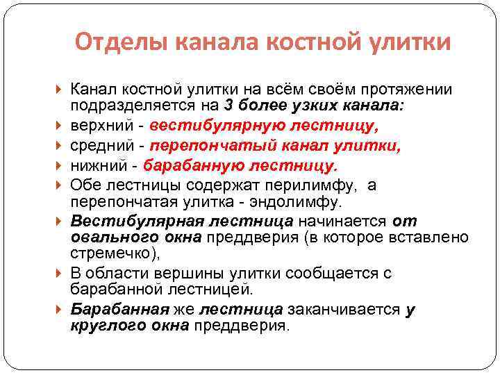 Отделы канала костной улитки Канал костной улитки на всём своём протяжении подразделяется на 3