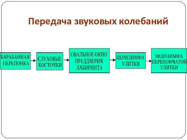 Набор данных звуки