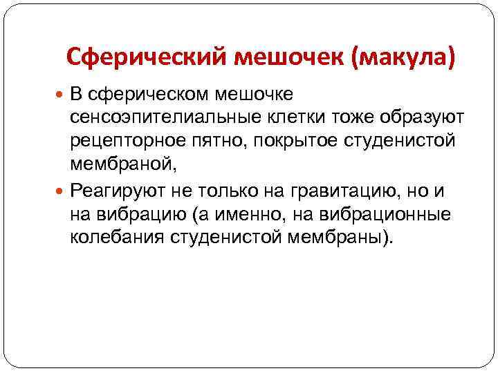 Сферический мешочек (макула) В сферическом мешочке сенсоэпителиальные клетки тоже образуют рецепторное пятно, покрытое студенистой