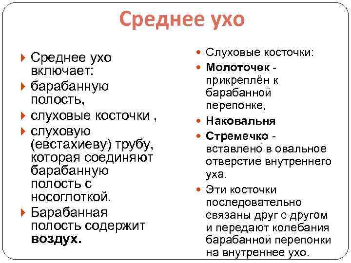 Среднее ухо включает: барабанную полость, слуховые косточки , слуховую (евстахиеву) трубу, которая соединяют барабанную
