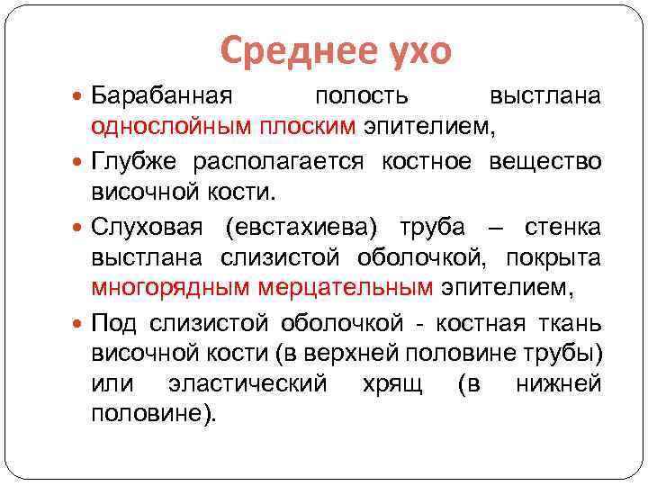 Среднее ухо Барабанная полость выстлана однослойным плоским эпителием, Глубже располагается костное вещество височной кости.