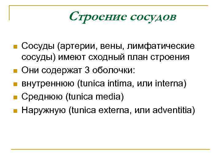 Строение сосудов n n n Сосуды (артерии, вены, лимфатические сосуды) имеют сходный план строения