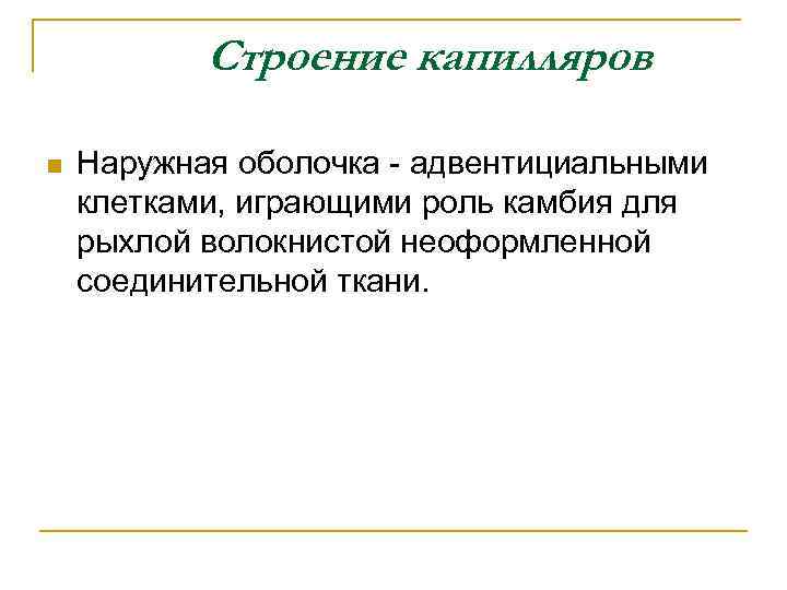 Строение капилляров n Наружная оболочка - адвентициальными клетками, играющими роль камбия для рыхлой волокнистой