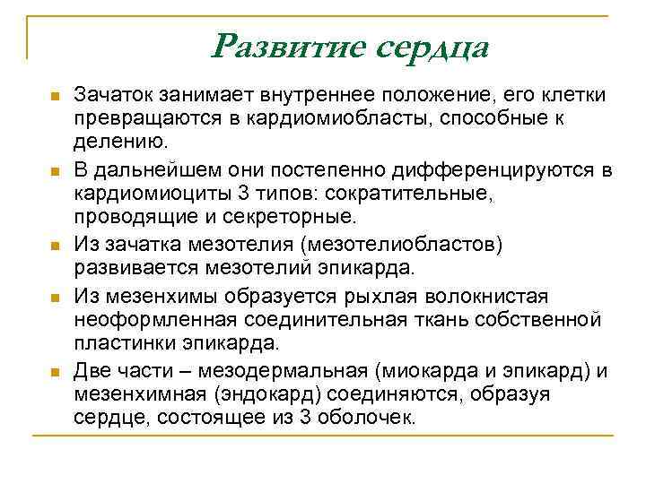 Развитие сердца n n n Зачаток занимает внутреннее положение, его клетки превращаются в кардиомиобласты,