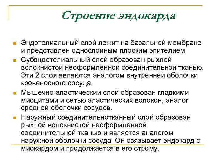 Строение эндокарда n n Эндотелиальный слой лежит на базальной мембране и представлен однослойным плоским