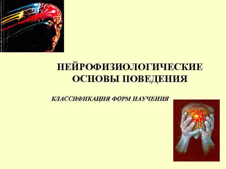 НЕЙРОФИЗИОЛОГИЧЕСКИЕ ОСНОВЫ ПОВЕДЕНИЯ КЛАССИФИКАЦИЯ ФОРМ НАУЧЕНИЯ 