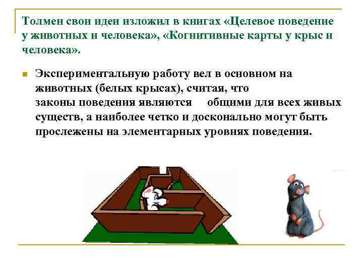 Толмен свои идеи изложил в книгах «Целевое поведение у животных и человека» , «Когнитивные