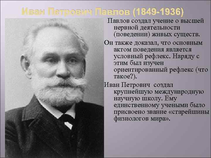 Иван Петрович Павлов (1849 -1936) Павлов создал учение о высшей нервной деятельности (поведении) живых