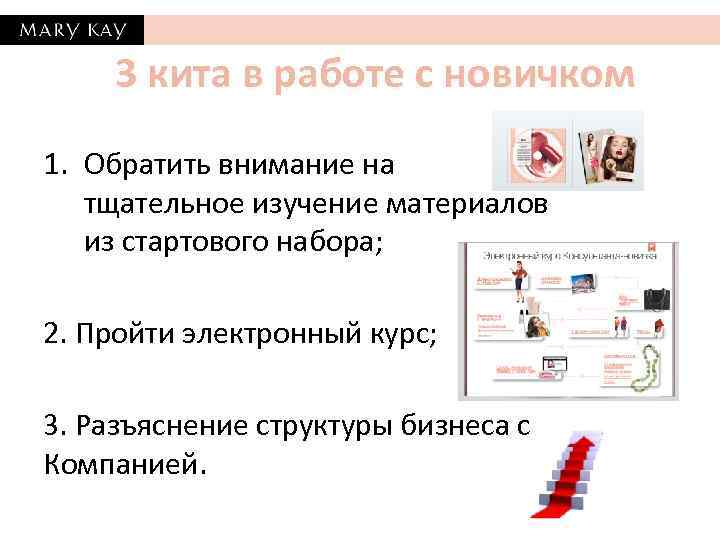 3 кита в работе с новичком 1. Обратить внимание на тщательное изучение материалов из