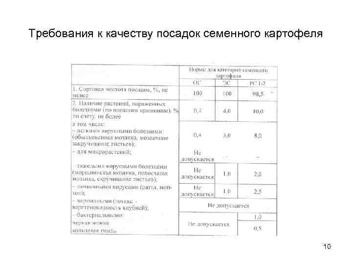 Требования к качеству посадок семенного картофеля 10 