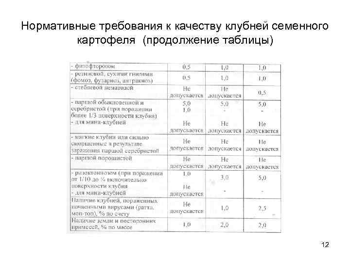 Нормативные требования к качеству клубней семенного картофеля (продолжение таблицы) 12 