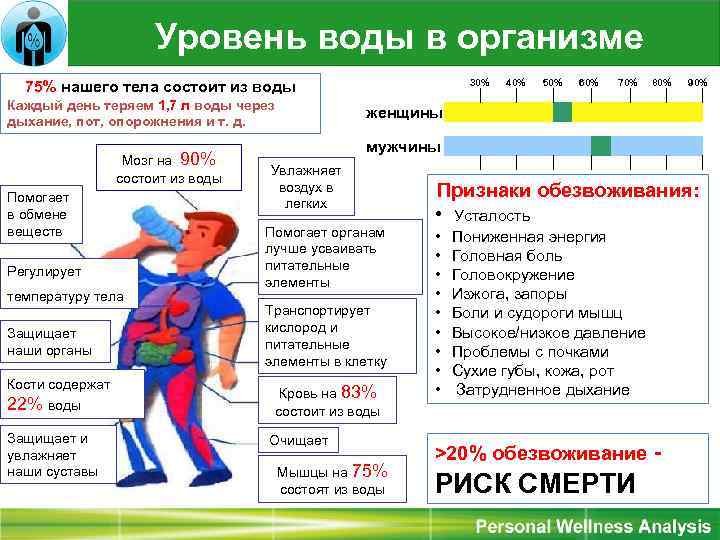  Уровень воды в организме 75% нашего тела состоит из воды Каждый день теряем