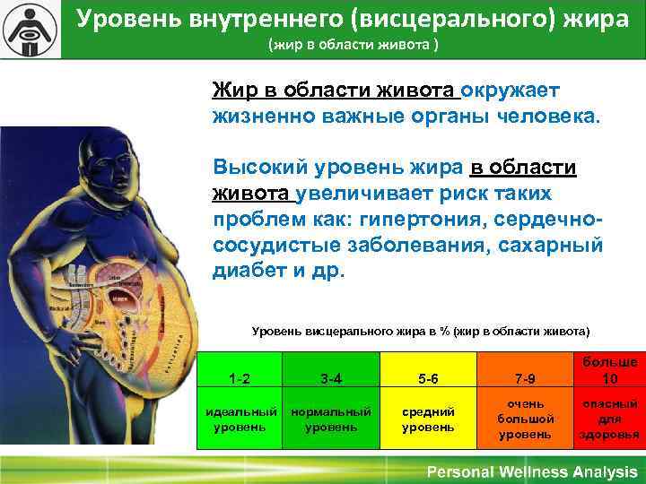 Уровень внутреннего (висцерального) жира (жир в области живота ) Жир в области живота окружает