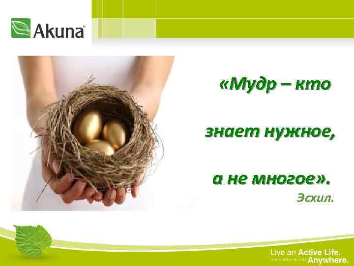  «Мудр – кто знает нужное, а не многое» . Эсхил. 