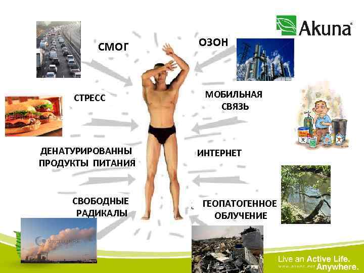 СМОГ СТРЕСС ДЕНАТУРИРОВАННЫ ПРОДУКТЫ ПИТАНИЯ СВОБОДНЫЕ РАДИКАЛЫ ОЗОН МОБИЛЬНАЯ СВЯЗЬ ИНТЕРНЕТ ГЕОПАТОГЕННОЕ ОБЛУЧЕНИЕ 