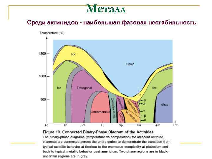 Металл Среди актинидов - наибольшая фазовая нестабильность 