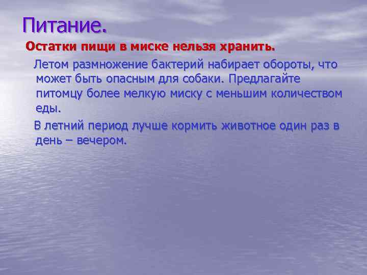 Питание. Остатки пищи в миске нельзя хранить. Летом размножение бактерий набирает обороты, что может