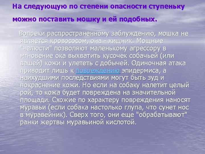 На следующую по степени опасности ступеньку можно поставить мошку и ей подобных. Вопреки распространенному