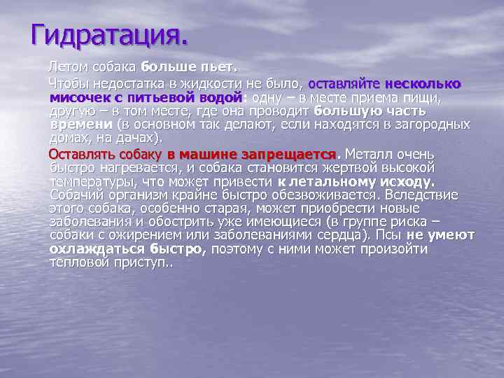 Гидратация. Летом собака больше пьет. Чтобы недостатка в жидкости не было, оставляйте несколько мисочек