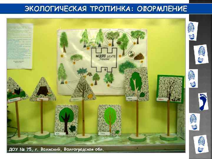 ЭКОЛОГИЧЕСКАЯ ТРОПИНКА: ОФОРМЛЕНИЕ ДОУ № 75, г. Волжский, Волгоградская обл. 