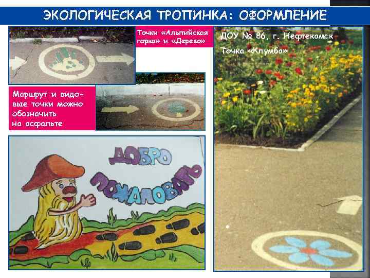 ЭКОЛОГИЧЕСКАЯ ТРОПИНКА: ОФОРМЛЕНИЕ Точки «Альпийская горка» и «Дерево» Маршрут и видовые точки можно обозначить