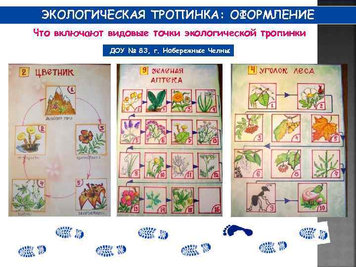 ЭКОЛОГИЧЕСКАЯ ТРОПИНКА: ОФОРМЛЕНИЕ Что включают видовые точки экологической тропинки ДОУ № 83, г. Набережные