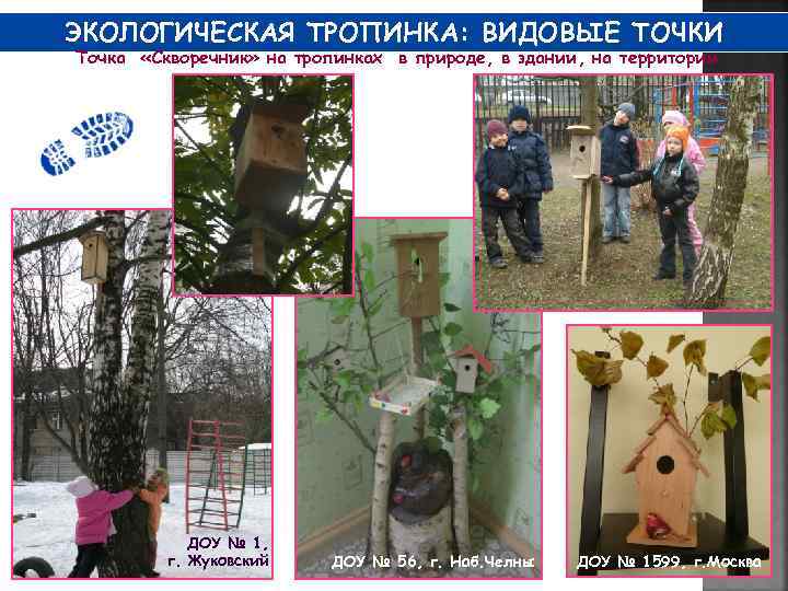 ЭКОЛОГИЧЕСКАЯ ТРОПИНКА: ВИДОВЫЕ ТОЧКИ Точка «Скворечник» на тропинках в природе, в здании, на территории