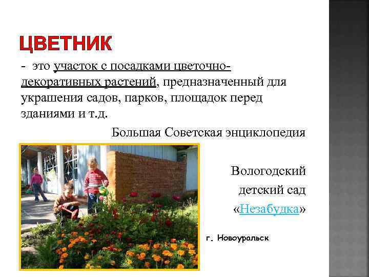 ЦВЕТНИК - это участок с посадками цветочнодекоративных растений, предназначенный для украшения садов, парков, площадок