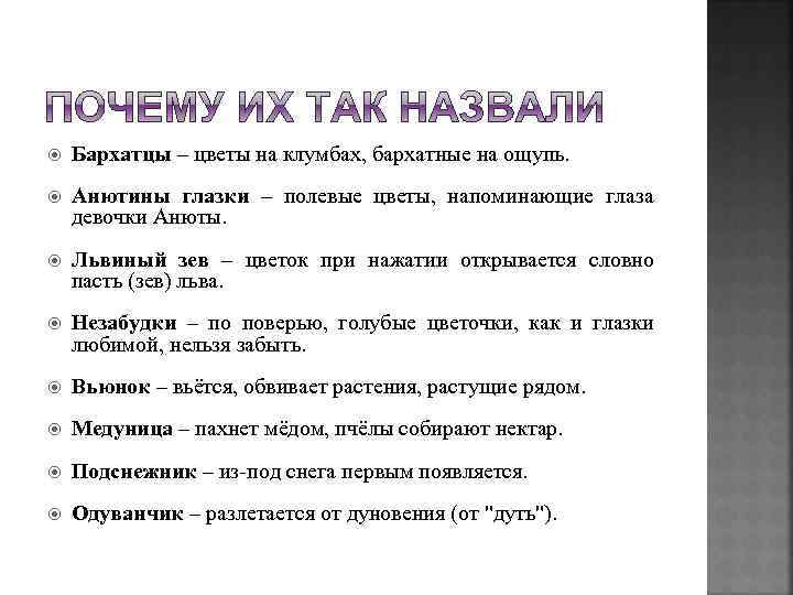  Бархатцы – цветы на клумбах, бархатные на ощупь. Анютины глазки – полевые цветы,