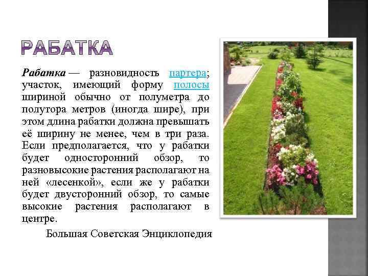 Рабатка — разновидность партера; участок, имеющий форму полосы шириной обычно от полуметра до полутора