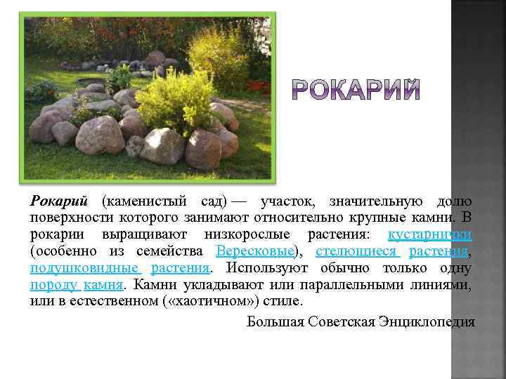 Рокарий (каменистый сад) — участок, значительную долю поверхности которого занимают относительно крупные камни. В