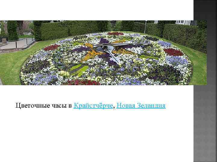 Цветочные часы в Крайстчёрче, Новая Зеландия 