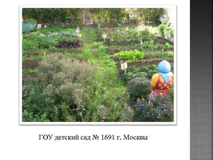 ГОУ детский сад № 1691 г. Москвы 